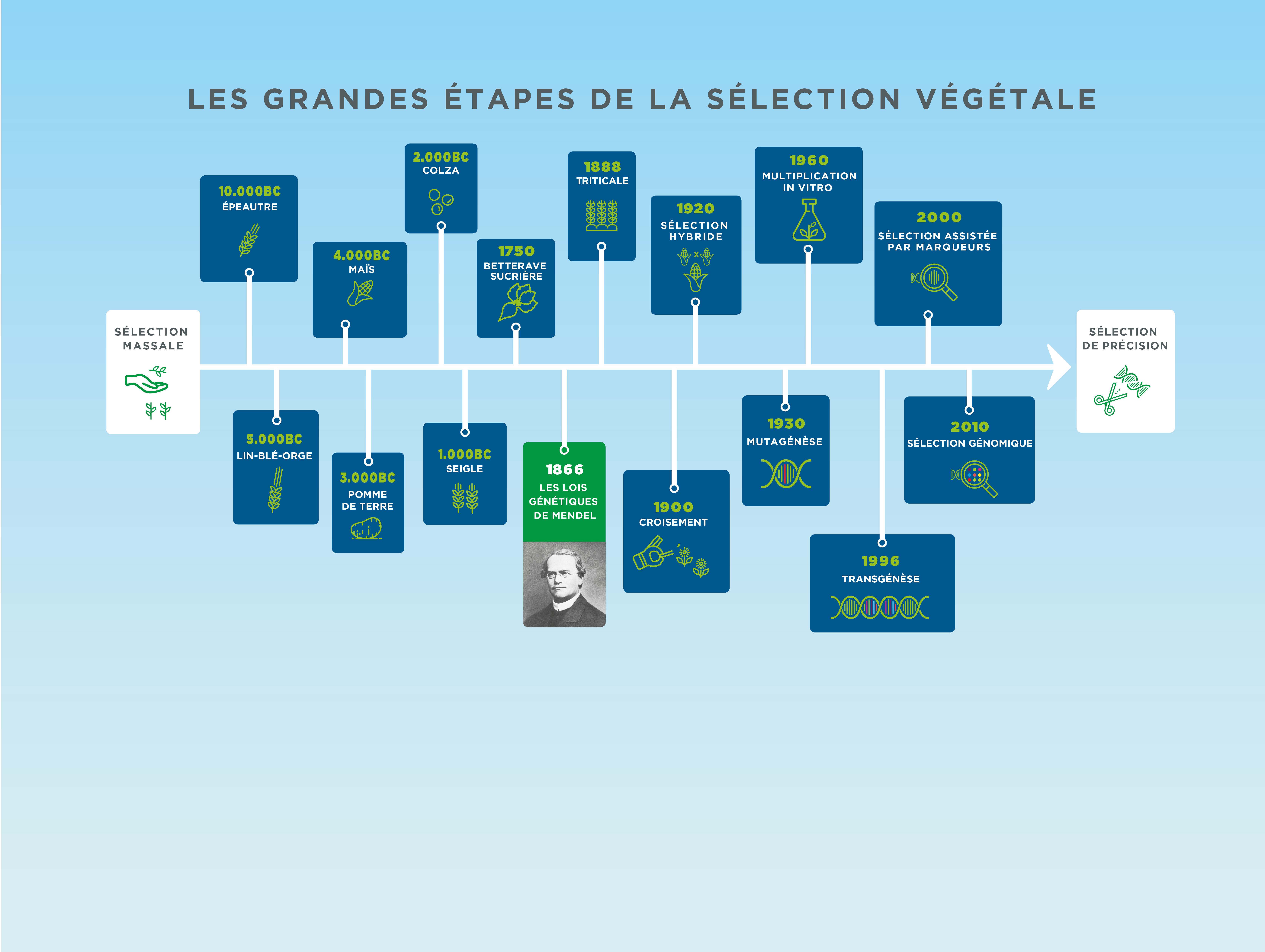 Les grandes étapes de la selection vegetale - SVOnline